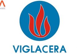 Showroom đại lý thiết bị vệ sinh Viglacera giá tốt ưu đãi